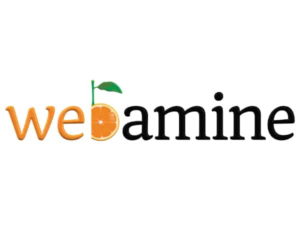Logo unseres Sponsors webamine - Webdesign - Vitamine für Ihre Homepage
